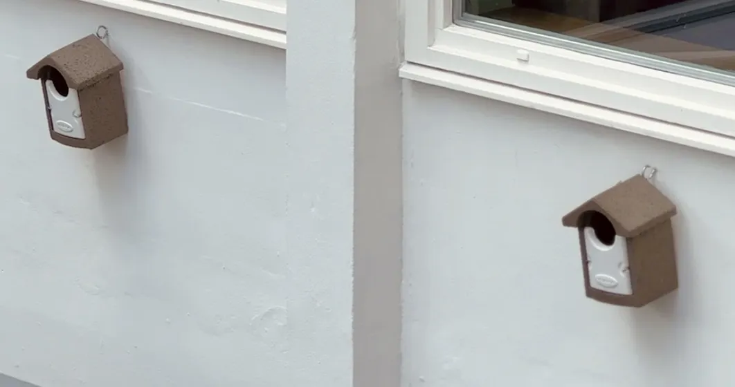 birdhouses at the usual rotterdam