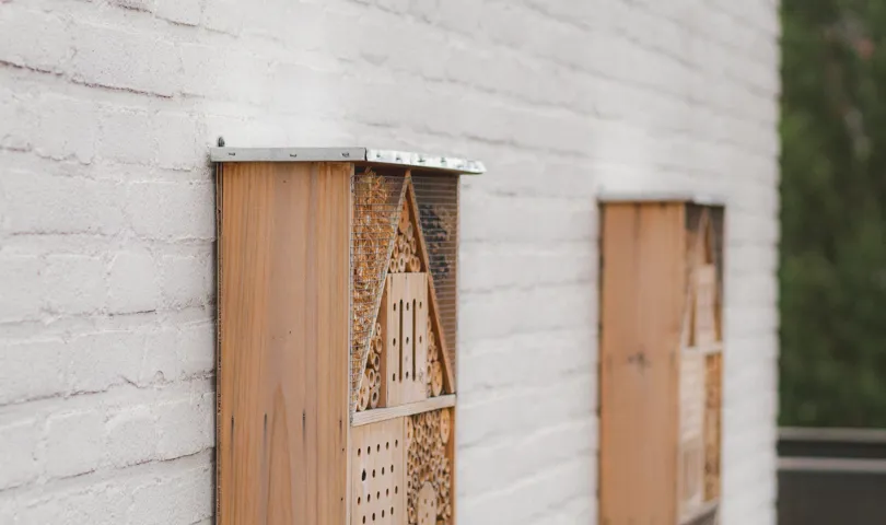 green roof insect hotels